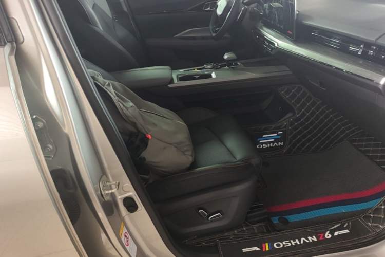 Used CHANGAN OSHAN Z6 New Energy 2023 ZhiDian iDD 150KM Flagship PLUS Right Front Seat