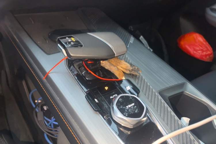 Used CHANGAN OSHAN Z6 New Energy 2023 ZhiDian iDD 150KM Flagship PLUS Smart Parking Edition Gear Lever