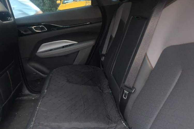 Used CHANGAN OSHAN Z6 New Energy 2023 ZhiDian iDD 150KM Flagship PLUS Smart Parking Edition Left Rear Seat