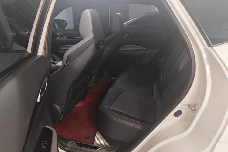 Used CHANGAN OSHAN Z6 New Energy 2023 ZhiDian iDD 150KM Flagship PLUS Smart Parking Edition Left Rear Seat