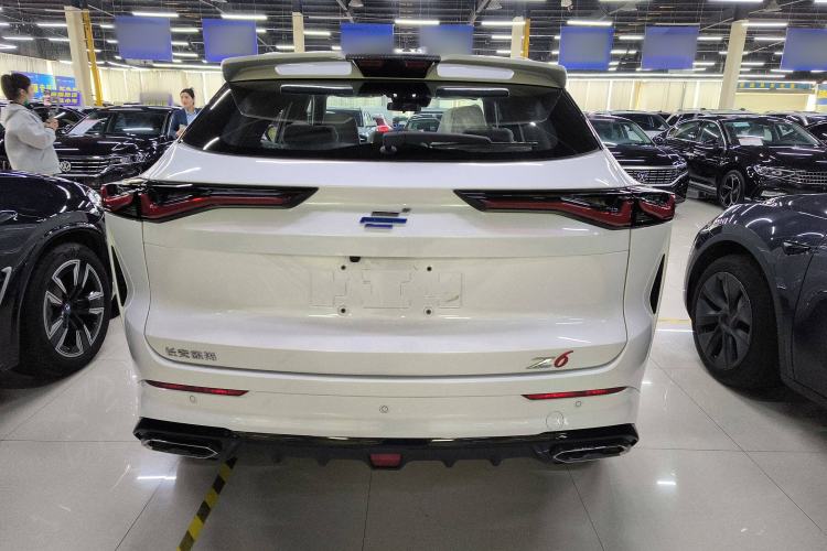 Used CHANGAN OSHAN Z6 New Energy 2023 ZhiDian iDD 150KM Flagship PLUS Rear
