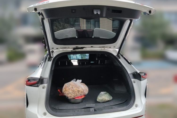 Used CHANGAN OSHAN Z6 New Energy 2023 ZhiDian iDD 150KM Flagship PLUS Trunk
