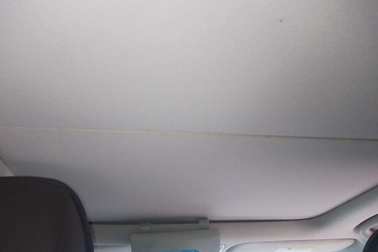 Used CHANGAN Raeton CC 2018 1.5T Automatic Zunya Model China V Standard Headliner