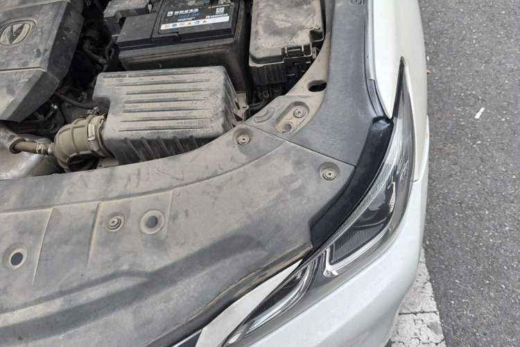 Used CHANGAN Raeton CC 2018 1.5T Automatic Haoya Model Guangmang Edition China V Standard Engine Bay Left