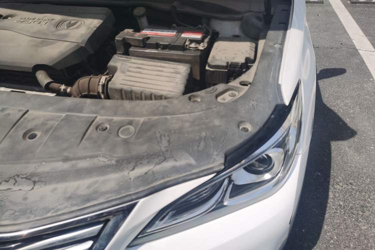 Used CHANGAN Raeton CC 2018 1.5T Automatic Elegant Starry Edition China V Standard Engine Bay Left