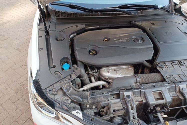 Used CHANGAN Raeton CC 2018 1.5T Automatic Zunya Model China V Standard Engine Bay Right