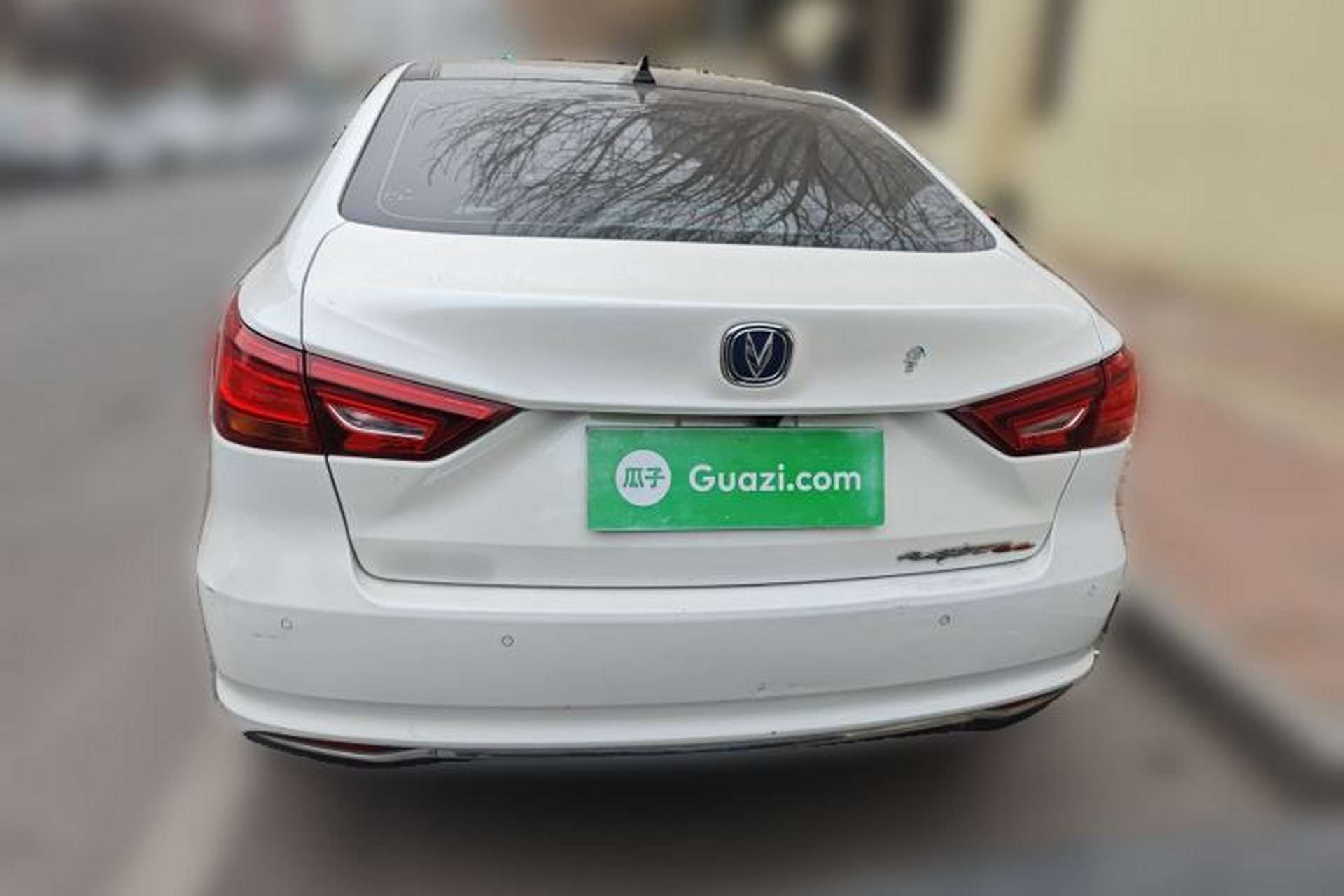 Used CHANGAN Raeton CC 2018 1.5T Automatic Elegant Starry Edition China V Standard Rear