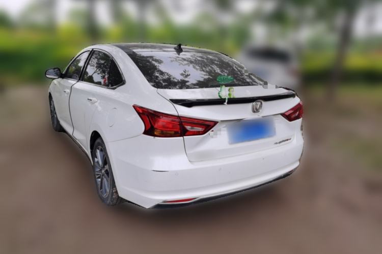 Used CHANGAN Raeton CC 2018 1.5T Manual Luxury Model China V Standard Rear Left 45 Deg