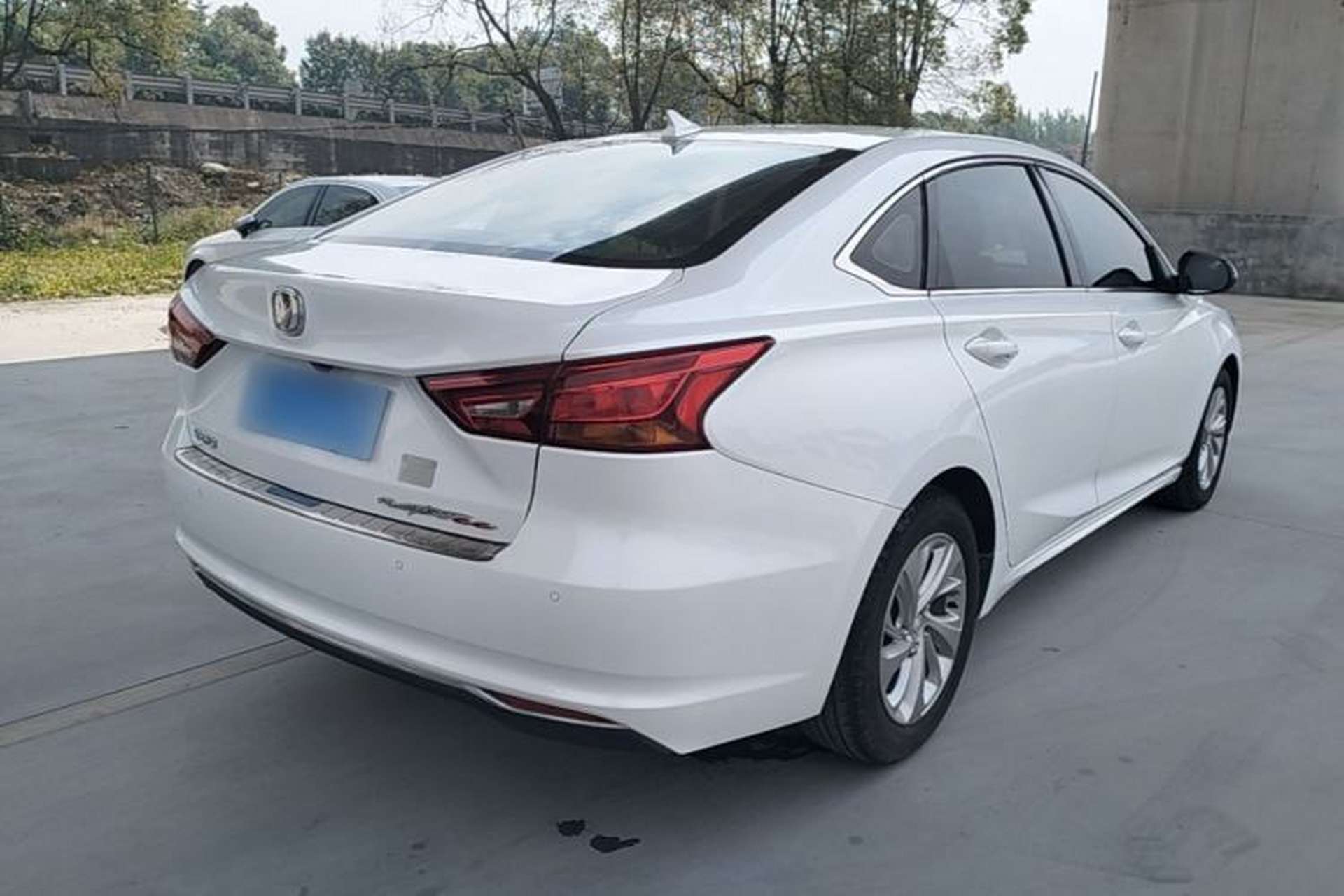 Used CHANGAN Raeton CC 2018 1.5T Manual Elegant Model China V Standard Rear Right 45 Deg