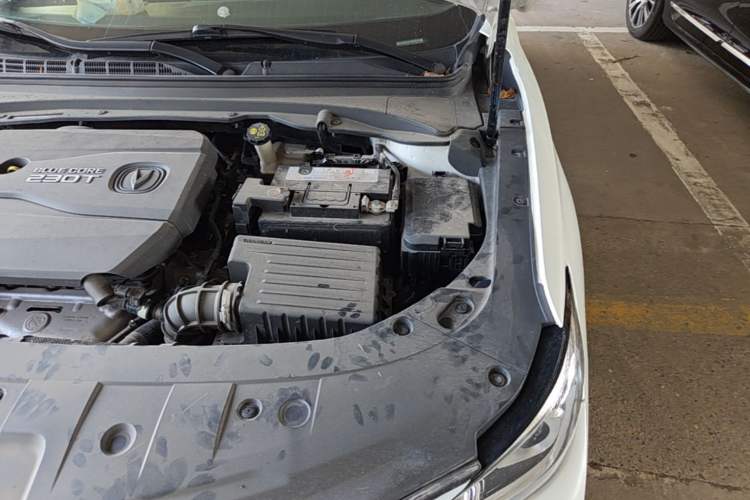 Used CHANGAN Raeton CC 2019 1.5T Automatic Elegant Starry Edition China VI Standard Engine Bay Left