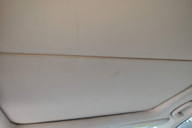 Used CHANGAN Raeton CC 2019 1.5T Manual Elegant Starry Edition China VI Standard Headliner