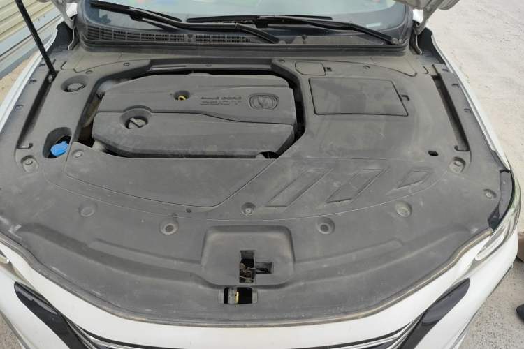 Used CHANGAN Ruicheng CC 2020 1.5T Automatic Cool & Sharp Model Engine Bay