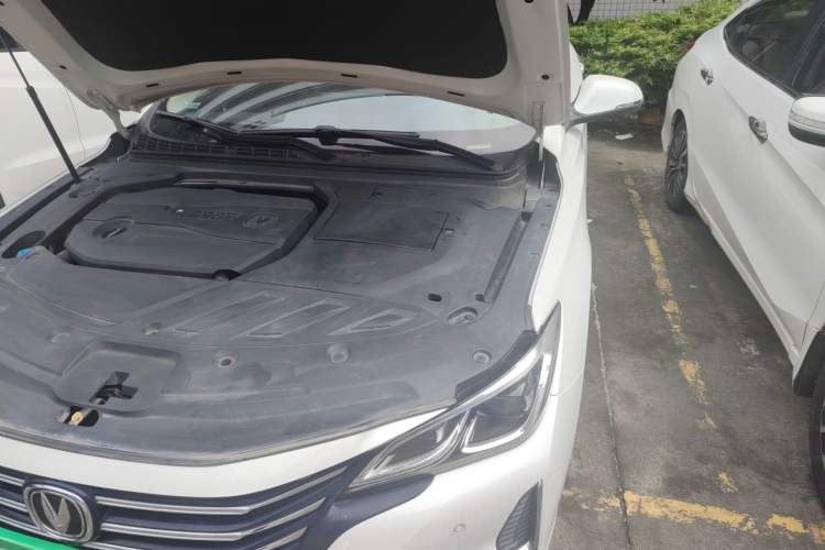 Used CHANGAN Ruicheng CC 2020 1.5T Automatic Sharp Edition Engine Bay Left