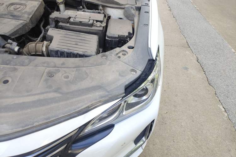 Used CHANGAN Ruicheng CC 2020 1.5T Automatic Chao Rui Trim Engine Bay Left