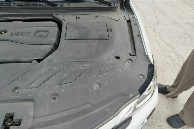 Used CHANGAN Ruicheng CC 2020 1.5T Automatic Cool & Sharp Model Engine Bay Left