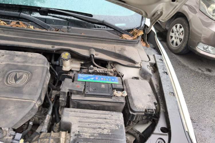 Used CHANGAN Ruicheng CC 2020 1.5T Automatic Xuanrui Model Engine Bay Left