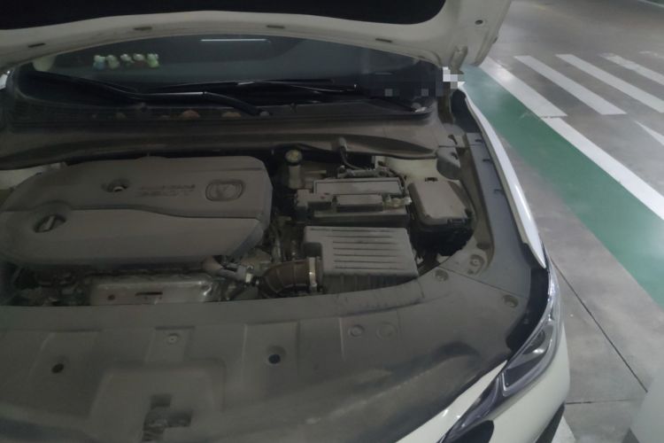 Used CHANGAN Ruicheng CC 2020 1.5T Automatic Xuanrui Model Engine Bay Left