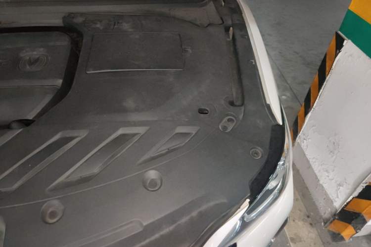 Used CHANGAN Ruicheng CC 2020 1.5T Automatic Cool & Sharp Model Engine Bay Left