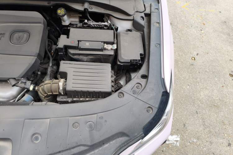 Used CHANGAN Ruicheng CC 2020 1.5T Automatic Xuanrui Model Engine Bay Left