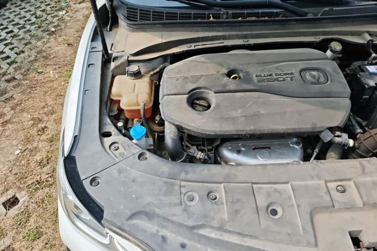 Used CHANGAN Ruicheng CC 2020 1.5T Manual Xuanrui Model Engine Bay Right