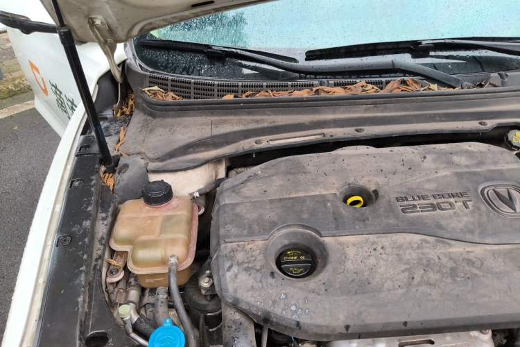 Used CHANGAN Ruicheng CC 2020 1.5T Automatic Xuanrui Model Engine Bay Right