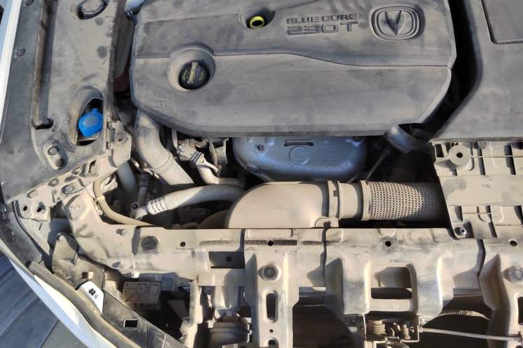 Used CHANGAN Ruicheng CC 2020 1.5T Automatic Cool & Sharp Model Engine Bay Right