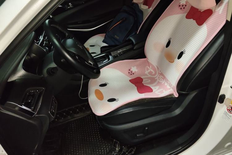 Used CHANGAN Ruicheng CC 2020 1.5T Automatic Chao Rui Trim Left Front Seat