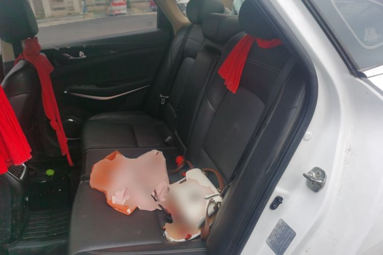 Used CHANGAN Ruicheng CC 2020 1.5T Automatic Chao Rui Trim Left Rear Seat