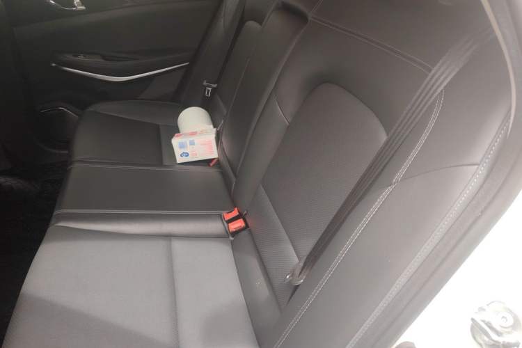 Used CHANGAN Ruicheng CC 2020 1.5T Automatic Sharp Edition Left Rear Seat