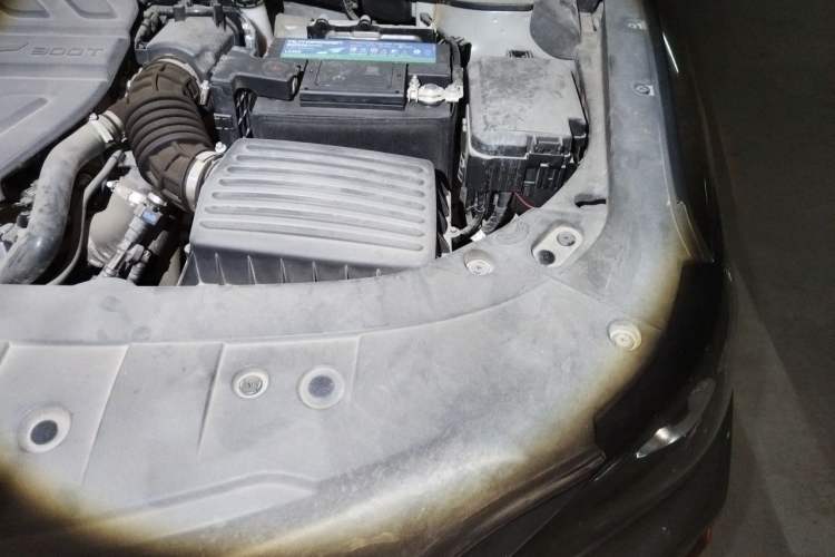 Used CHANGAN Ruicheng CC 2021 Blue Whale Edition 1.5T DCT Prestige Model Engine Bay Left