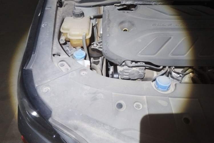 Used CHANGAN Ruicheng CC 2021 Blue Whale Edition 1.5T DCT Prestige Model Engine Bay Right