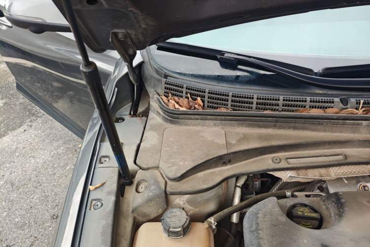 Used CHANGAN Ruicheng CC 2021 Blue Whale Edition 1.5T DCT Prestige Model Engine Bay Right