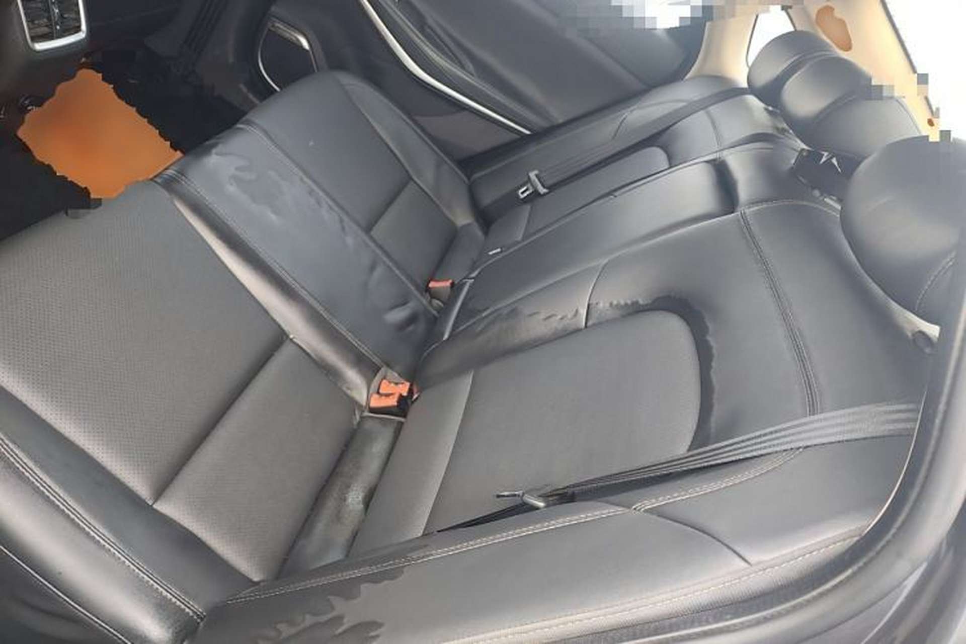 Used CHANGAN Ruicheng CC 2021 Blue Whale Edition 1.5T DCT Luxury Model Left Rear Seat