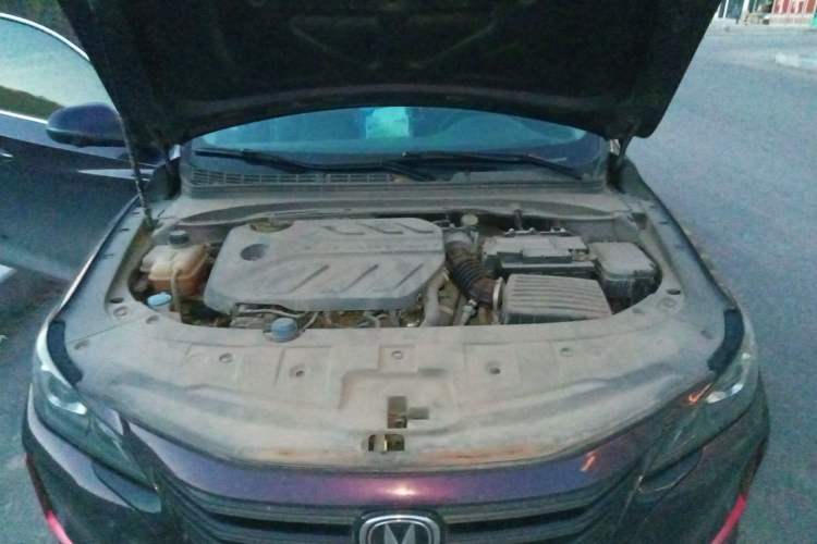 Used CHANGAN Ruicheng CC 2021 Blue Whale Edition 1.5T DCT Prestige Model Engine Bay