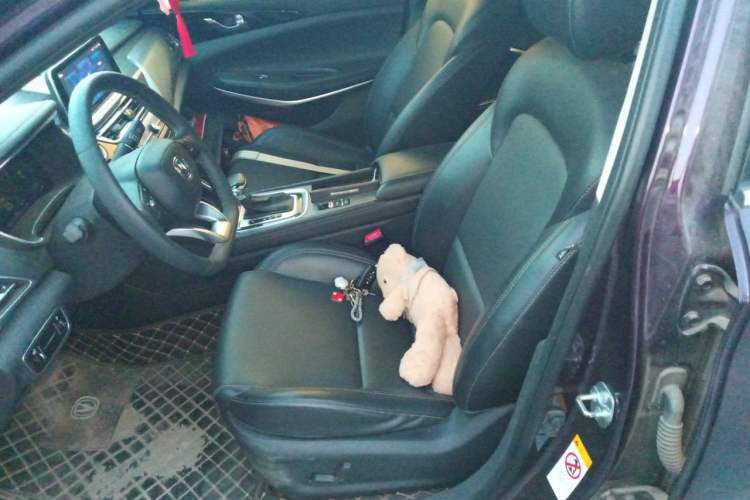 Used CHANGAN Ruicheng CC 2021 Blue Whale Edition 1.5T DCT Prestige Model Left Front Seat