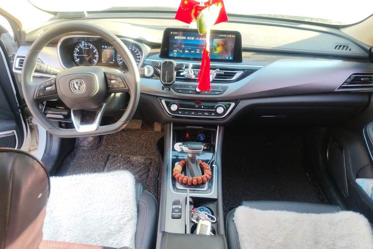 Used CHANGAN Ruicheng CC 2021 Blue Whale Edition 1.5T DCT Luxury Model Center Console