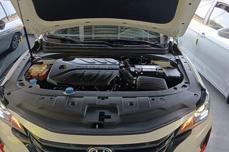 Used CHANGAN Ruicheng CC 2021 Blue Whale Edition 1.5T DCT Prestige Model Engine Bay
