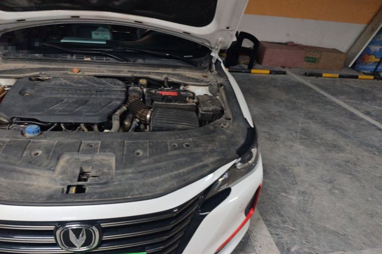 Used CHANGAN Ruicheng CC 2021 Blue Whale Edition 1.5T DCT Prestige Model Engine Bay Left