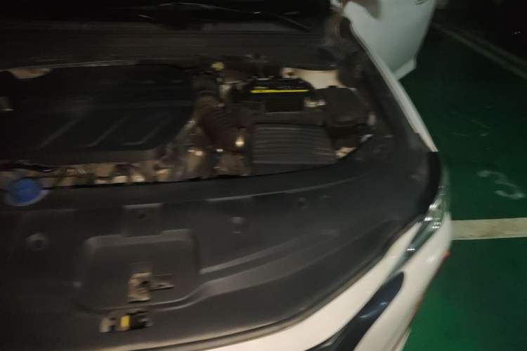 Used CHANGAN Ruicheng CC 2021 Blue Whale Edition 1.5T DCT Luxury Model Engine Bay Left