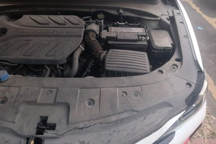 Used CHANGAN Ruicheng CC 2021 Blue Whale Edition 1.5T DCT Prestige Model Engine Bay Left
