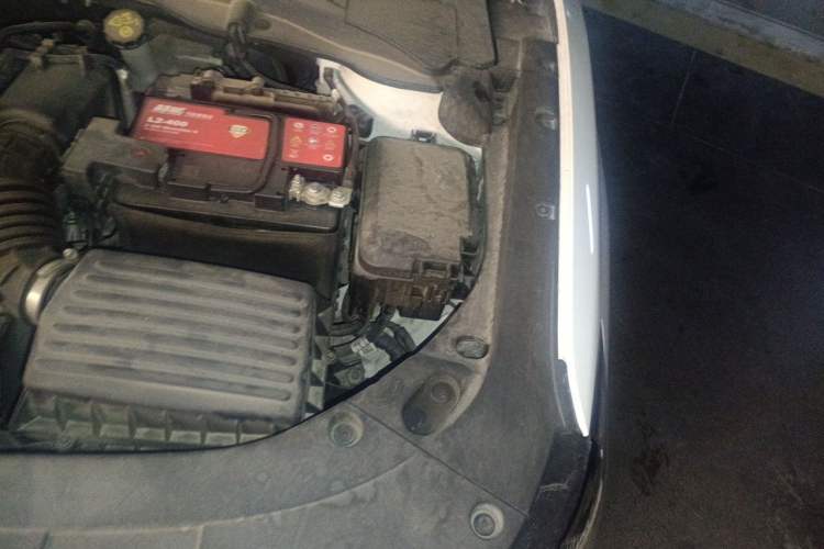 Used CHANGAN Ruicheng CC 2021 Blue Whale Edition 1.5T DCT Prestige Model Engine Bay Left