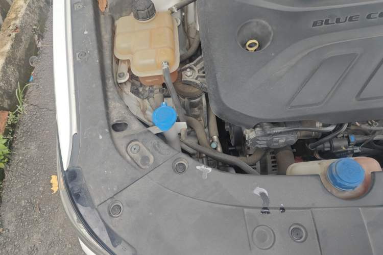 Used CHANGAN Ruicheng CC 2021 Blue Whale Edition 1.5T DCT Luxury Model Engine Bay Right