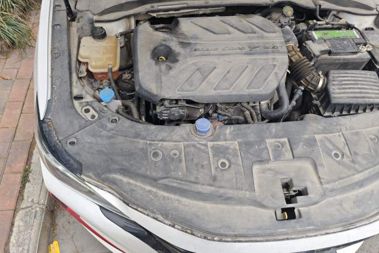 Used CHANGAN Ruicheng CC 2021 Blue Whale Edition 1.5T DCT Elite Model Engine Bay Right