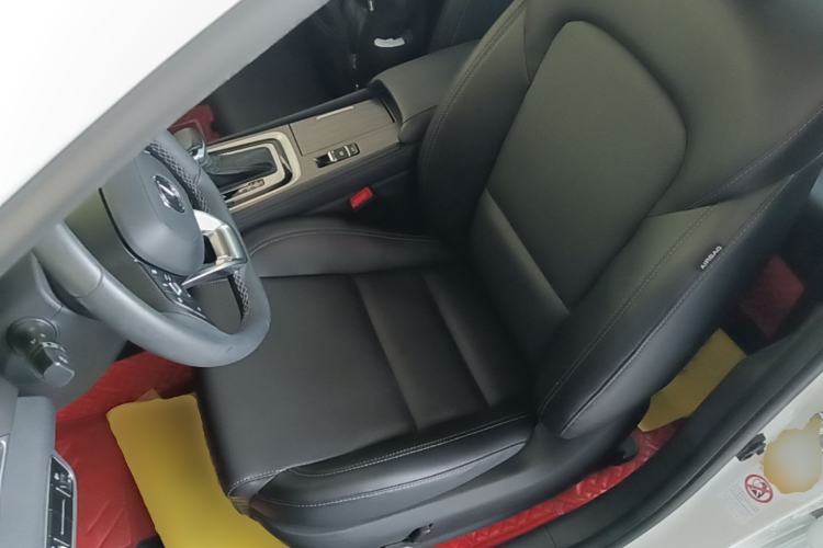 Used CHANGAN Ruicheng CC 2021 Blue Whale Edition 1.5T DCT Prestige Model Left Front Seat