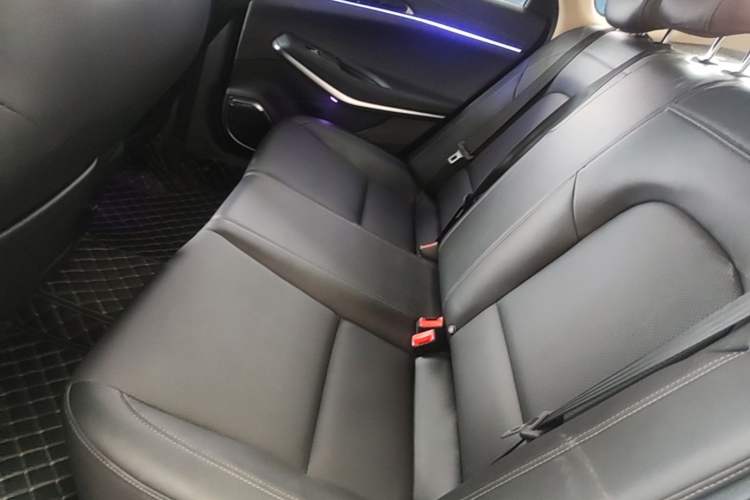 Used CHANGAN Ruicheng CC 2021 Blue Whale Edition 1.5T DCT Elite Model Left Rear Seat