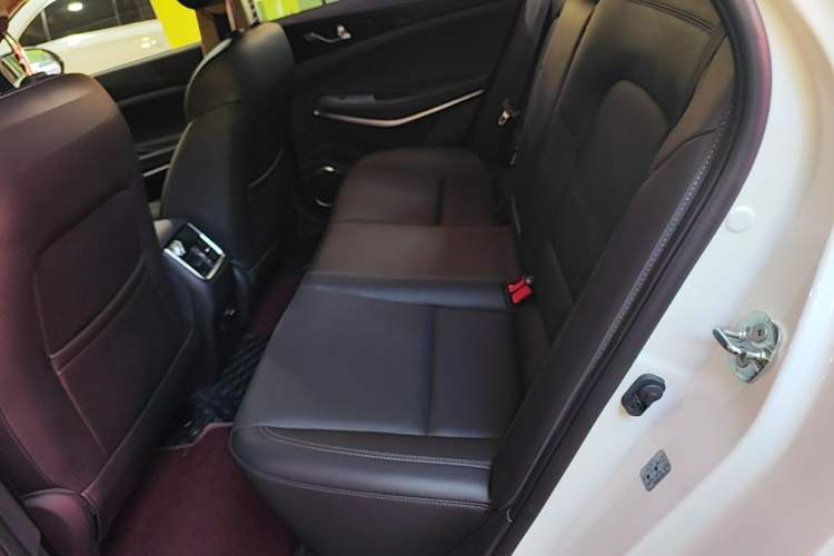 Used CHANGAN Ruicheng CC 2021 Blue Whale Edition 1.5T DCT Prestige Model Left Rear Seat