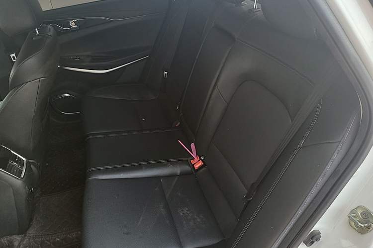 Used CHANGAN Ruicheng CC 2021 Blue Whale Edition 1.5T DCT Prestige Model Left Rear Seat