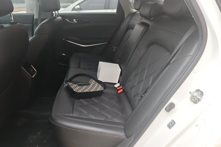 Used CHANGAN Ruicheng CC 2021 Blue Whale Edition 1.5T DCT Prestige Model Left Rear Seat