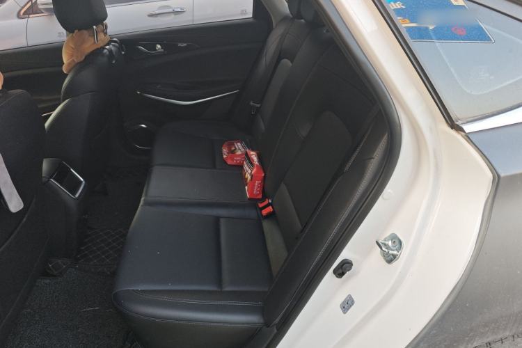 Used CHANGAN Ruicheng CC 2022 Blue Whale Edition 1.5T DCT Elite Model Left Rear Seat
