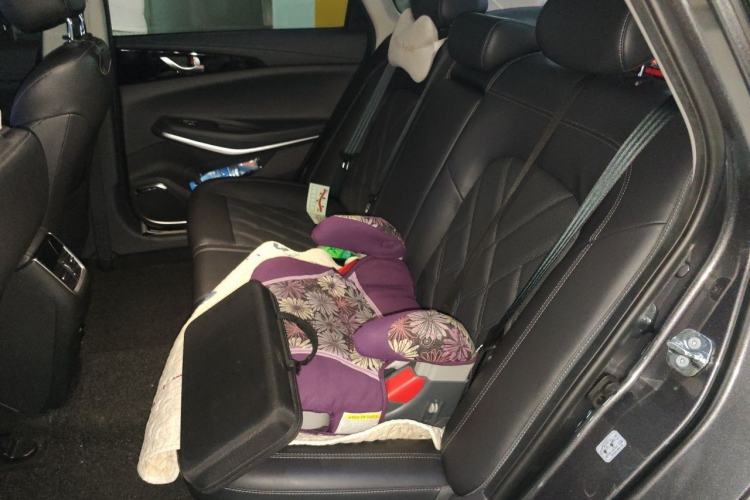 Used CHANGAN Ruicheng CC 2022 Blue Whale Edition 1.5T DCT Luxury Model Left Rear Seat